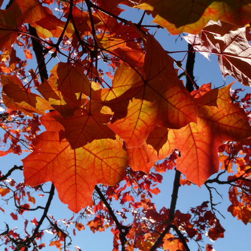 ...auch im Herbst, gibt es viel zu tun...